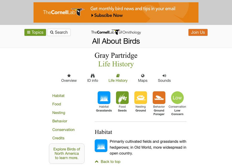 Cornell Lab of Ornithology: Gray Partridge Handout