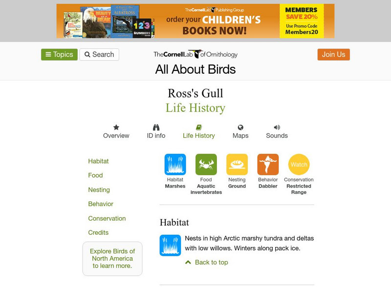 Cornell Lab of Ornithology: Ross's Gull Handout Cornell Lab of Ornithology: Ross's Gull Handout