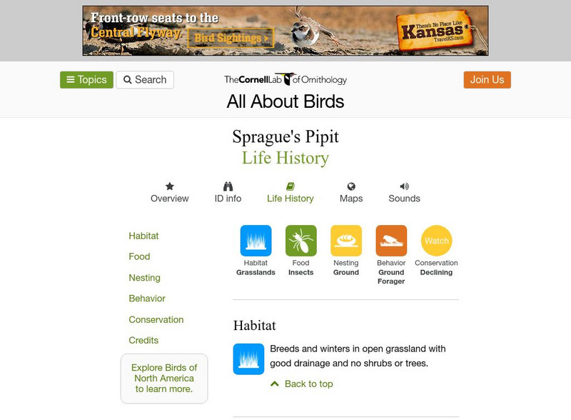 Cornell Lab of Ornithology: Sprague's Pipit Handout Cornell Lab of Ornithology: Sprague's Pipit Handout