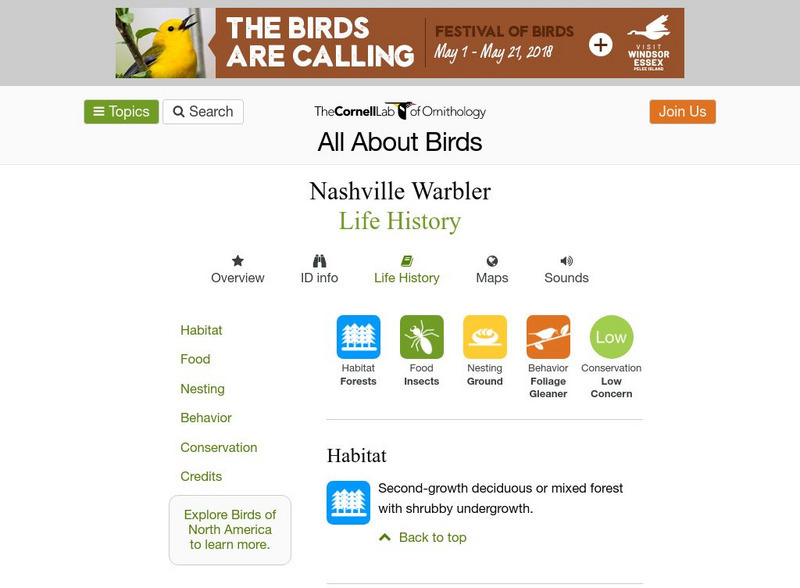 Cornell Lab of Ornithology: Nashville Warbler Handout Cornell Lab of Ornithology: Nashville Warbler Handout