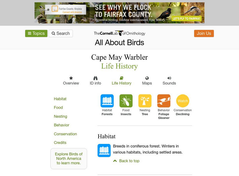 Cornell Lab of Ornithology: Cape May Warbler Handout Cornell Lab of Ornithology: Cape May Warbler Handout