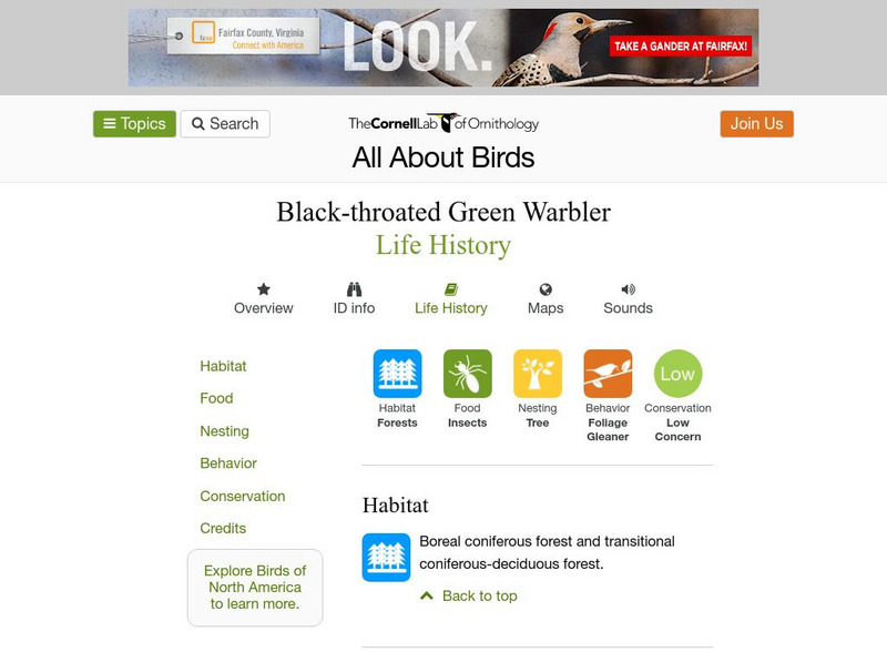 Cornell Lab of Ornithology: Black Throated Green Warbler Handout Cornell Lab of Ornithology: Black Throated Green Warbler Handout