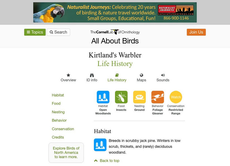 Cornell Lab of Ornithology: Kirtland's Warbler Handout Cornell Lab of Ornithology: Kirtland's Warbler Handout