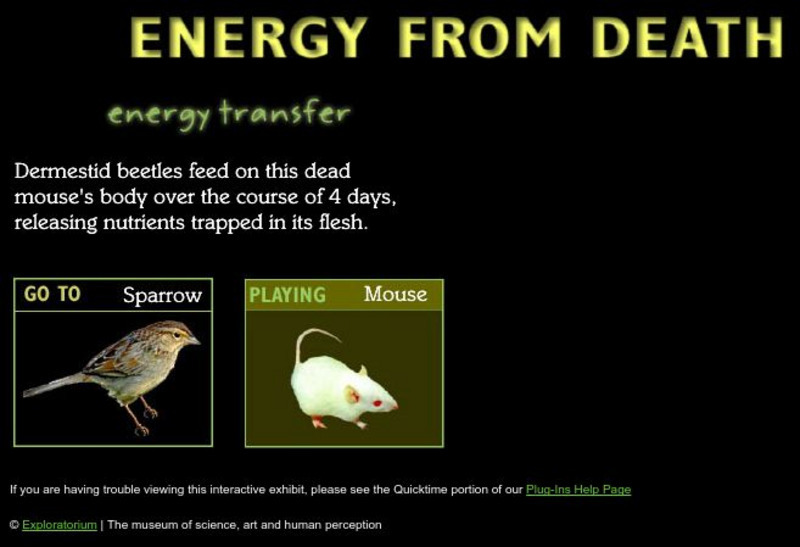 Exploratorium: Energy From Death Unit Plan Exploratorium: Energy From Death Unit Plan