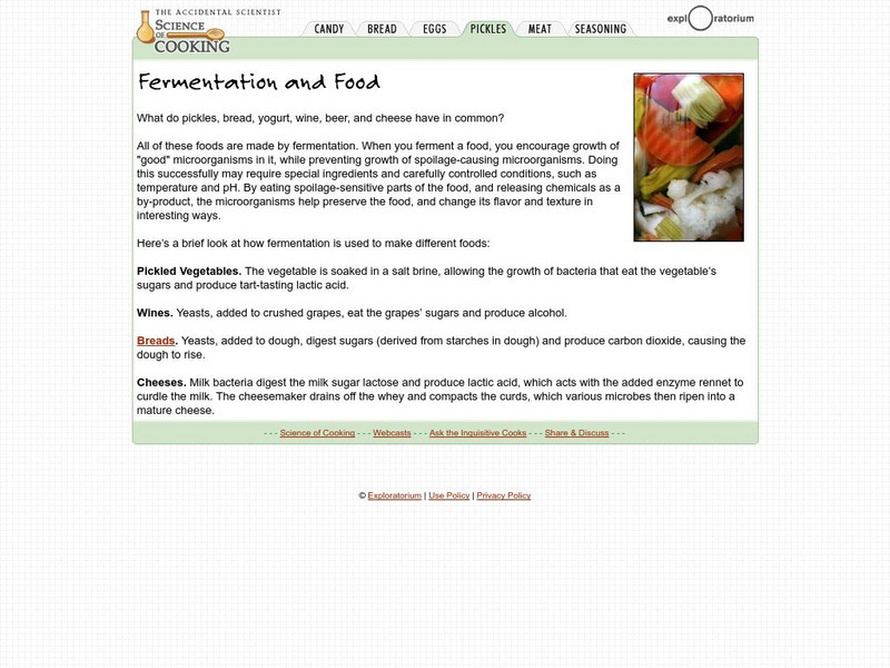 Exploratorium: Fermentation and Food Article Exploratorium: Fermentation and Food Article