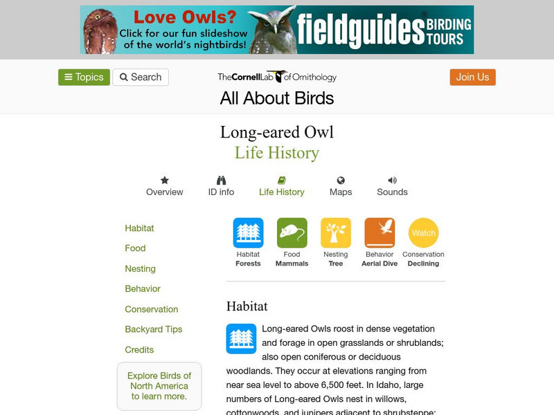 Cornell Lab of Ornithology: Long Eared Owl Handout