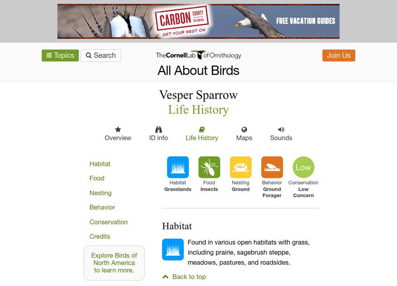 Cornell Lab of Ornithology: Vesper Sparrow Handout Cornell Lab of Ornithology: Vesper Sparrow Handout
