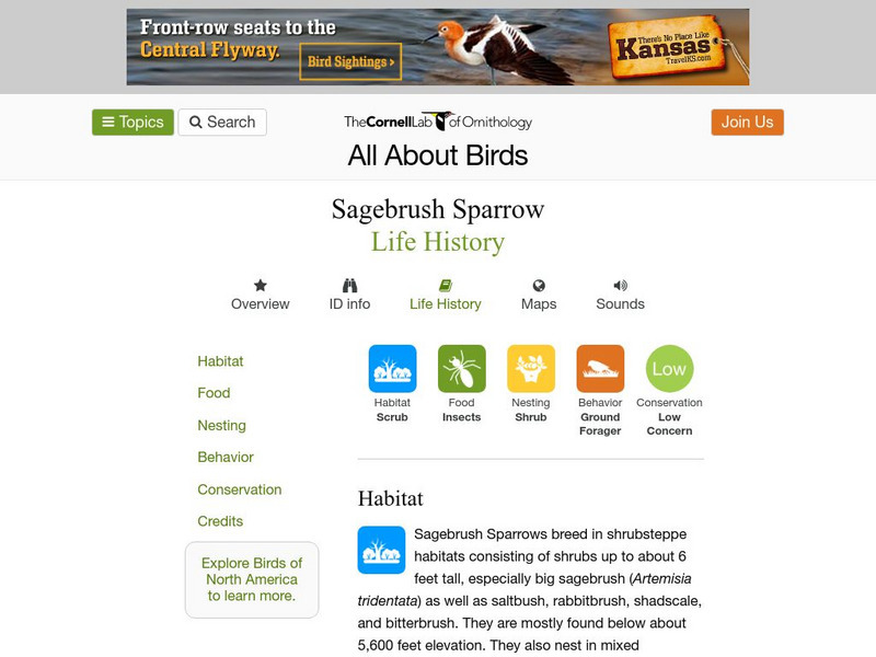 Cornell Lab of Ornithology: Sage Sparrow Handout Cornell Lab of Ornithology: Sage Sparrow Handout