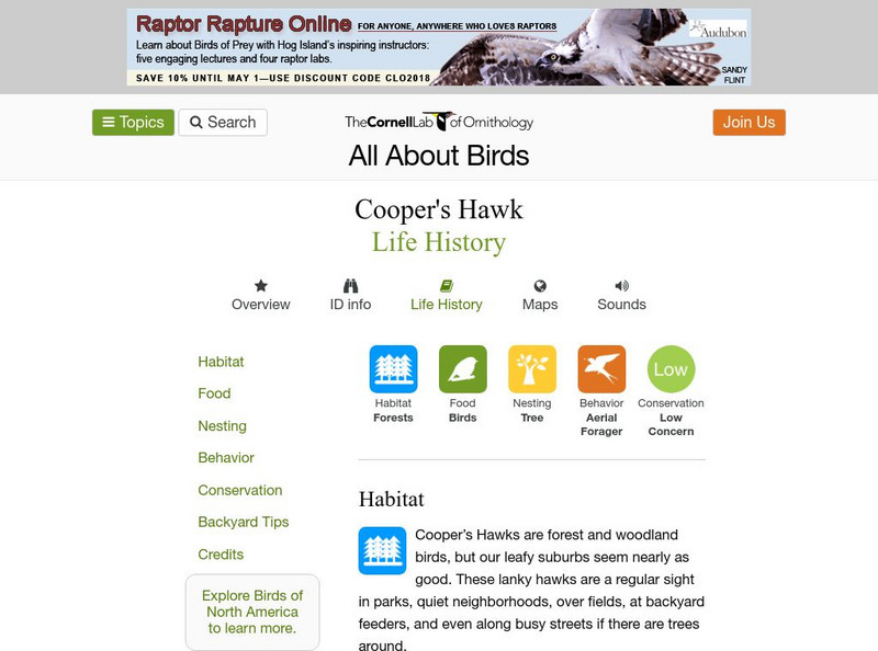 Cornell Lab of Ornithology: Cooper's Hawk Handout Cornell Lab of Ornithology: Cooper's Hawk Handout