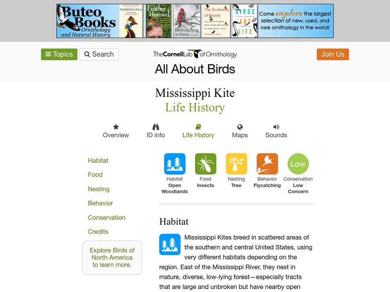 Cornell Lab of Ornithology: Mississippi Kite Handout Cornell Lab of Ornithology: Mississippi Kite Handout