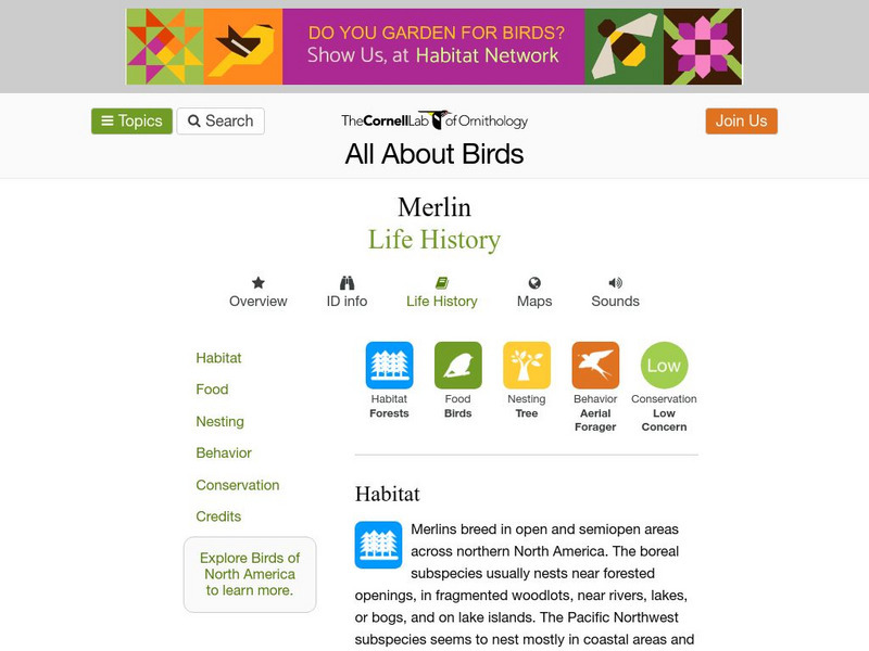 Cornell Lab of Ornithology: Merlin Handout Cornell Lab of Ornithology: Merlin Handout