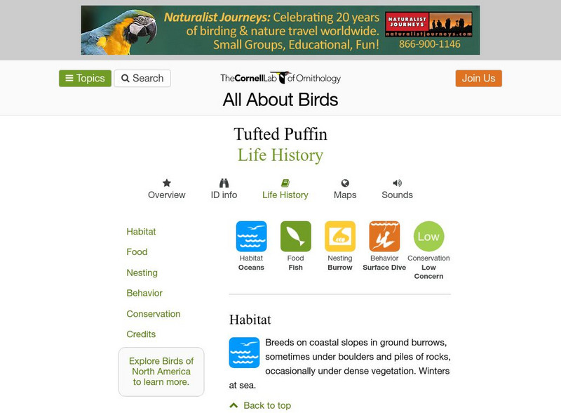 Cornell Lab of Ornithology: Tufted Puffin Handout Cornell Lab of Ornithology: Tufted Puffin Handout