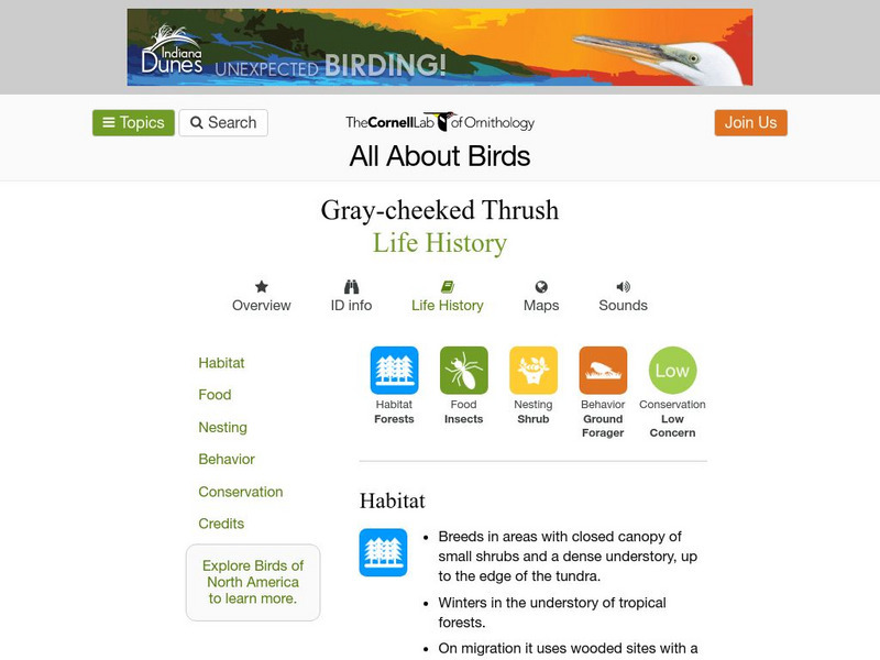 Cornell Lab of Ornithology: Gray Cheeked Thrush Handout Cornell Lab of Ornithology: Gray Cheeked Thrush Handout