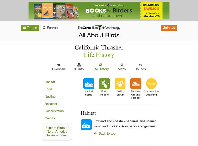 Cornell Lab of Ornithology: California Thrasher Handout Cornell Lab of Ornithology: California Thrasher Handout