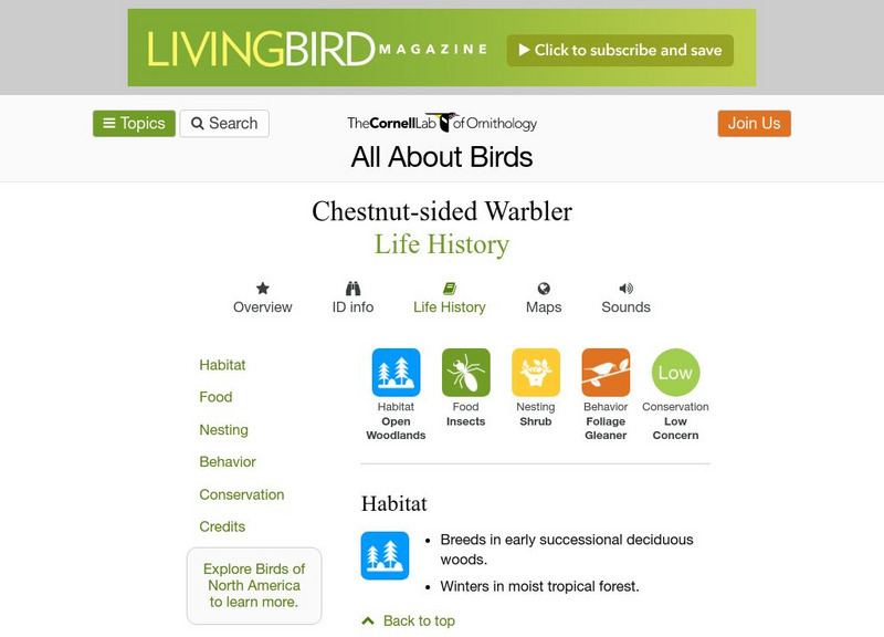 Cornell Lab of Ornithology: Chestnut Sided Warbler Handout Cornell Lab of Ornithology: Chestnut Sided Warbler Handout