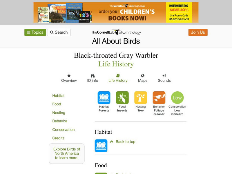 Cornell Lab of Ornithology: Black Throated Gray Warbler Handout Cornell Lab of Ornithology: Black Throated Gray Warbler Handout