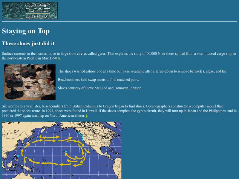 National Museum of Natural History: Ocean Planet: Staying on Top Website National Museum of Natural History: Ocean Planet: Staying on Top Website