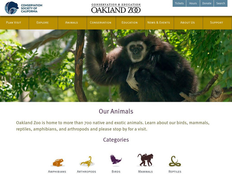 Oakland Zoo: Our Animals Website Oakland Zoo: Our Animals Website