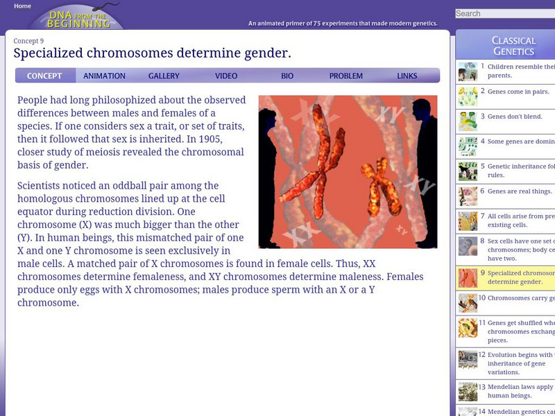 Dna From the Beginning: Specialized Chromosomes Determine Gender Unit Plan Dna From the Beginning: Specialized Chromosomes Determine Gender Unit Plan