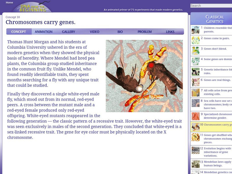 Dna From the Beginning: Chromosomes Carry Genes Unit Plan Dna From the Beginning: Chromosomes Carry Genes Unit Plan