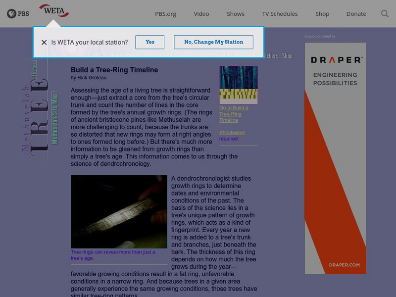 Nova: Build a Tree Ring Timeline Handout Nova: Build a Tree Ring Timeline Handout