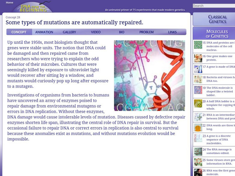 Dna From the Beginning: Some Mutations Are Repaired Unit Plan Dna From the Beginning: Some Mutations Are Repaired Unit Plan