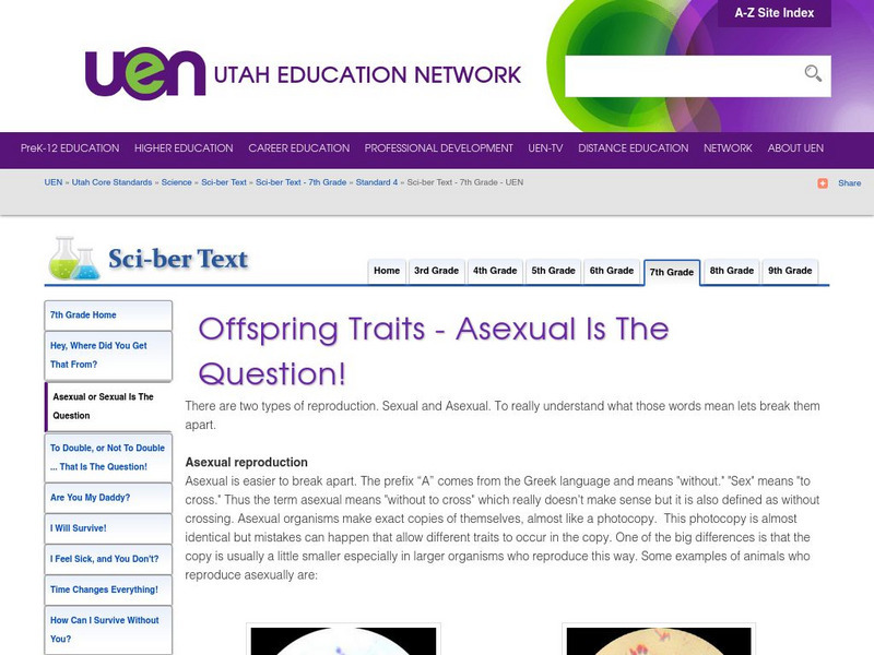 Uen: Offspring Traits Asexual Is the Question! Handout Uen: Offspring Traits Asexual Is the Question! Handout