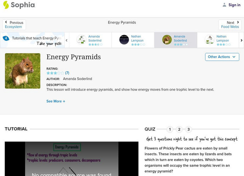 Sophia: Energy Pyramids: Lesson 4 Instructional Video