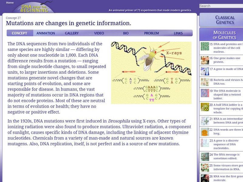 Dna From the Beginning: Mutations Are Changes in Genetic Information Handout Dna From the Beginning: Mutations Are Changes in Genetic Information Handout