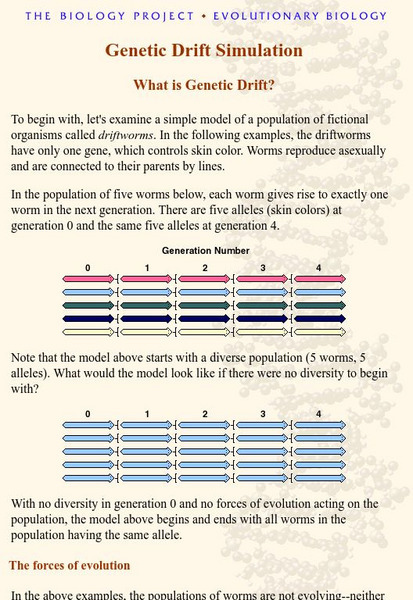 The Biology Project: Genetic Drift: An Explanation Handout The Biology Project: Genetic Drift: An Explanation Handout
