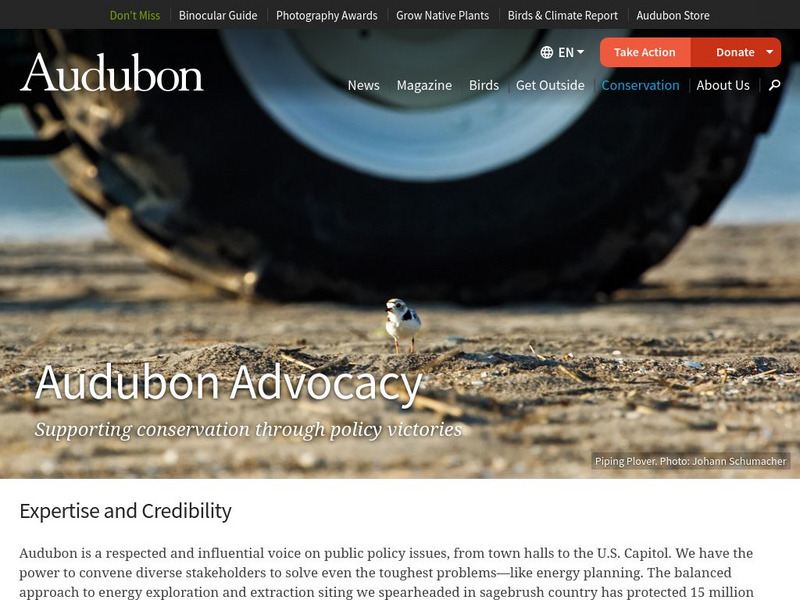 National Audubon Society: Advocacy Website National Audubon Society: Advocacy Website