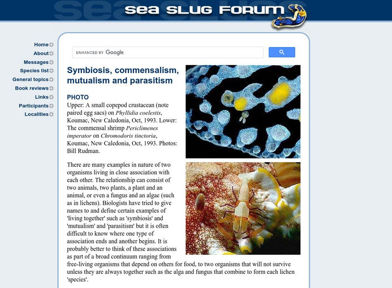 The Sea Slug Forum: Symbiosis and Commensalism Website The Sea Slug Forum: Symbiosis and Commensalism Website