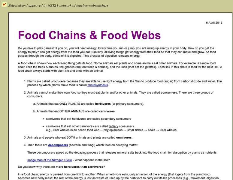 Food Chains and Webs Handout
