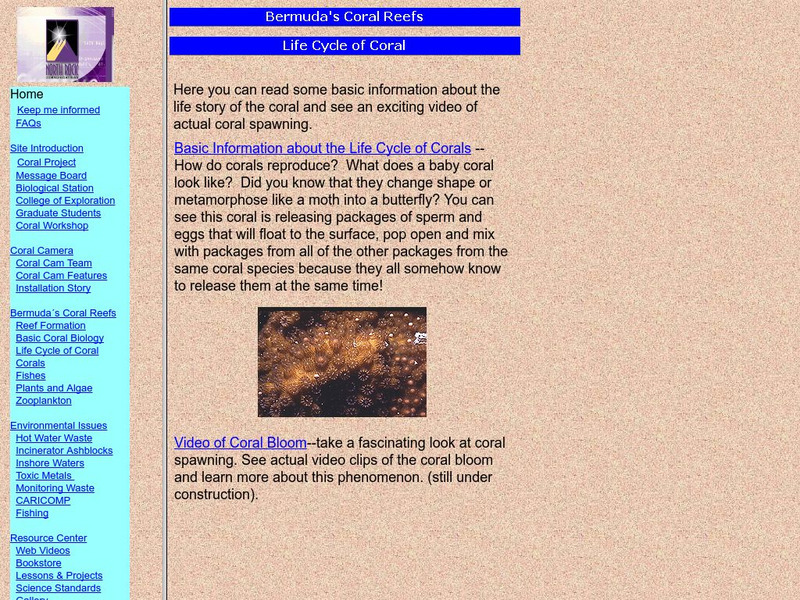 Coexploration/life Cycle of Coral Handout Coexploration/life Cycle of Coral Handout