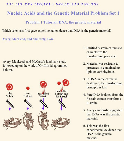 The Biology Project: Which Scientists? Activity The Biology Project: Which Scientists? Activity