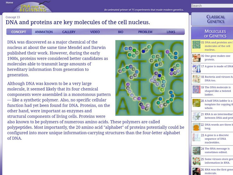 Dna From the Beginning: Dna and Proteins Unit Plan