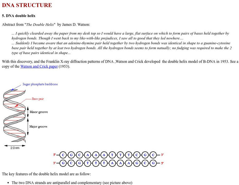 University of Southern California: Dna Structure Handout University of Southern California: Dna Structure Handout
