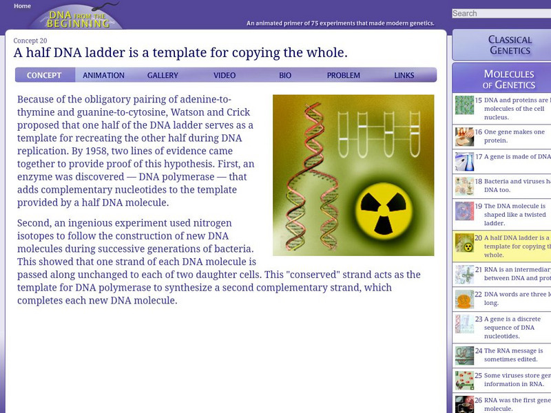 Dna From the Beginning: A Half Dna Ladder Is the Template Unit Plan Dna From the Beginning: A Half Dna Ladder Is the Template Unit Plan