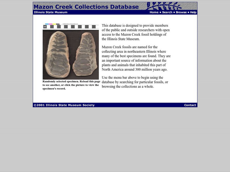 Illinois State Museum: Mazon Creek Collection Database Interactive Illinois State Museum: Mazon Creek Collection Database Interactive
