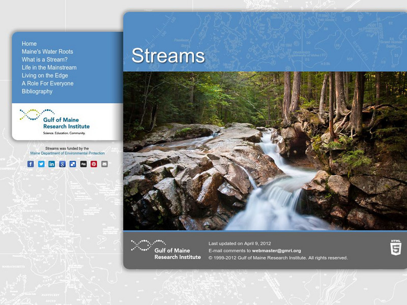 Gulf of Maine Aquarium: Streams Handout Gulf of Maine Aquarium: Streams Handout