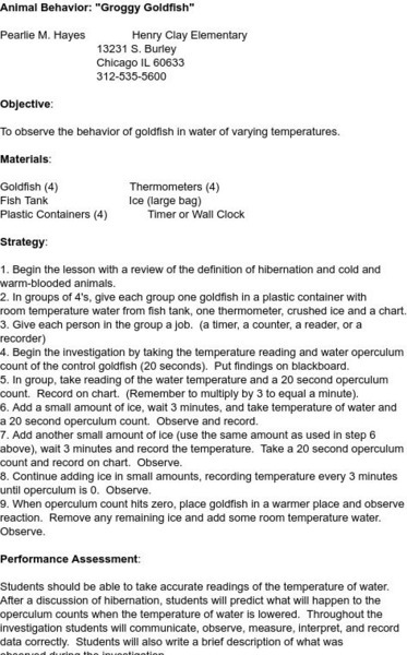 Smile: Animal Behavior Lesson Plan Smile: Animal Behavior Lesson Plan