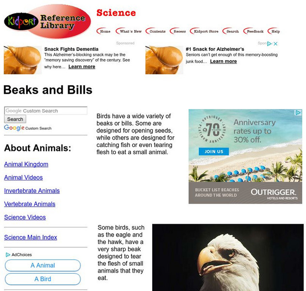 Kidport: Beaks and Bills Handout Kidport: Beaks and Bills Handout