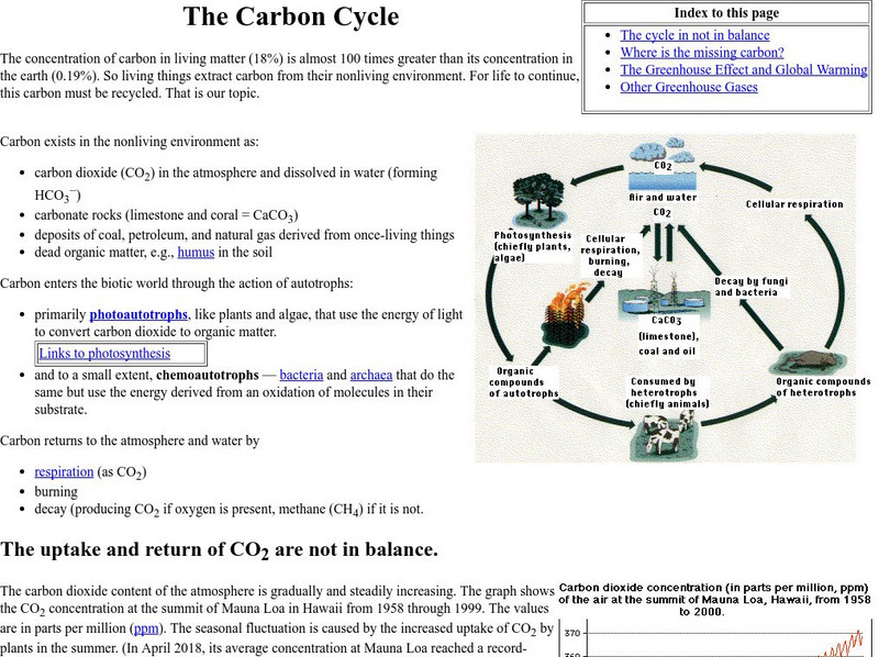 Kimball's Biology Pages: The Carbon Cycle eBook Kimball's Biology Pages: The Carbon Cycle eBook