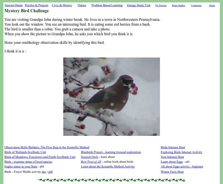 Mrs. O's House: Mystery Bird Challenge Activity Mrs. O's House: Mystery Bird Challenge Activity