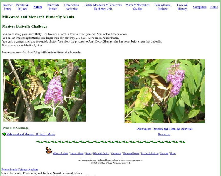 Mrs. O's House: Milkweed and Monarch Butterfly Mania Activity Mrs. O's House: Milkweed and Monarch Butterfly Mania Activity