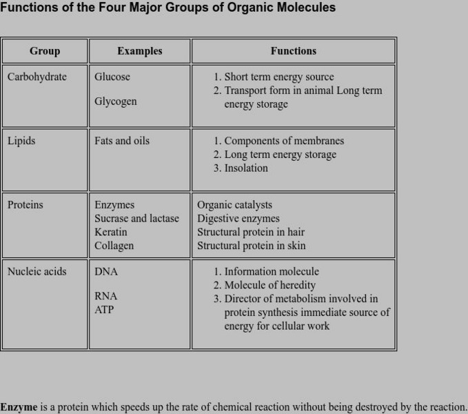 Ucs: Functions of the Four Major Groups of Organic Molecules Graphic Ucs: Functions of the Four Major Groups of Organic Molecules Graphic