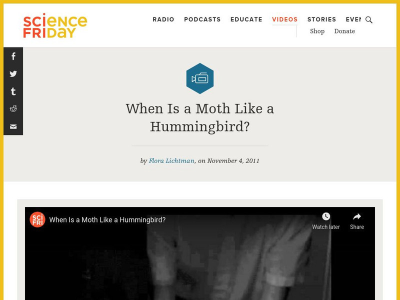 Science Friday: When Is a Moth Like a Hummingbird? Instructional Video Science Friday: When Is a Moth Like a Hummingbird? Instructional Video