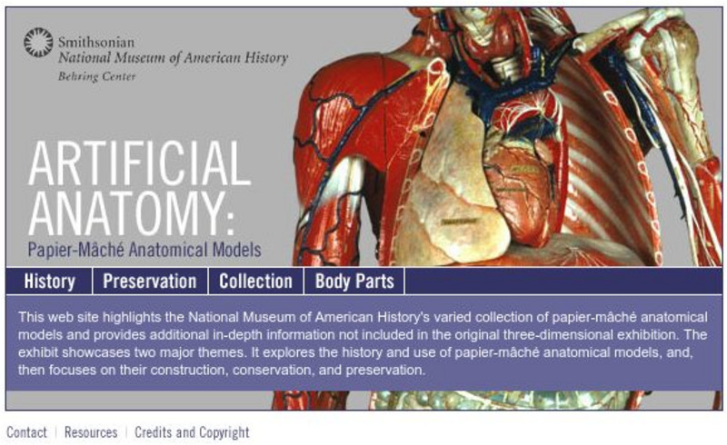 National Museum of American History: Artificial Anatomy: Papier Mache Models Interactive National Museum of American History: Artificial Anatomy: Papier Mache Models Interactive