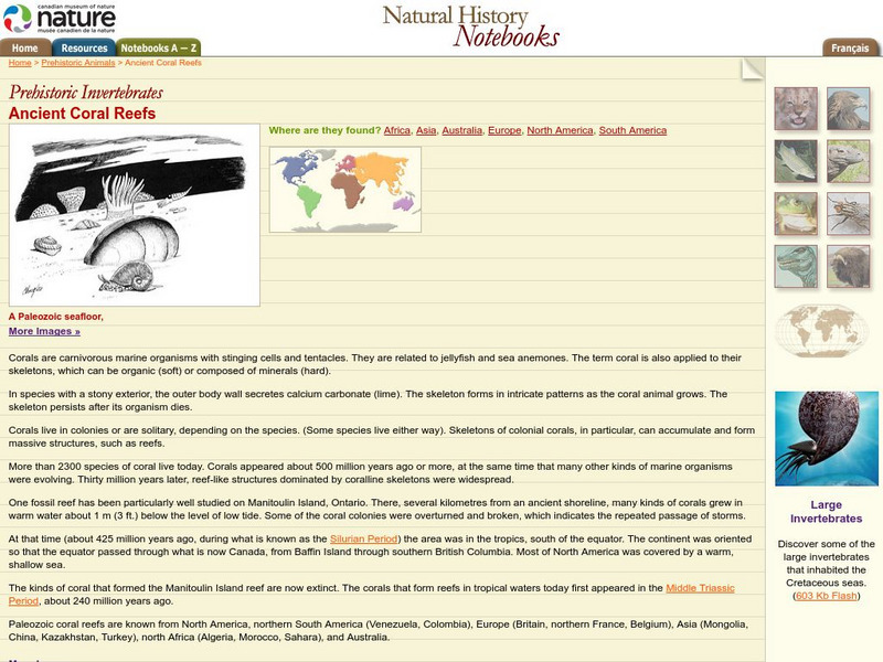 Canadian Museum of Nature: Ancient Coral Reefs Handout Canadian Museum of Nature: Ancient Coral Reefs Handout