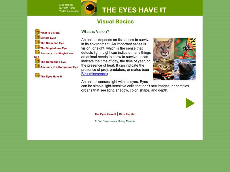 San Diego Natural History: Kids' Habitat: The Eyes Have It: Visual Basics Handout San Diego Natural History: Kids' Habitat: The Eyes Have It: Visual Basics Handout